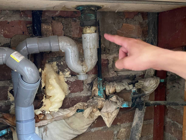 Best Flood damage cleanup  in Wyanet, IL